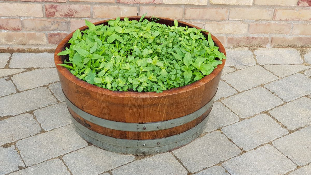 
                      
                        Oak Wine Barrel Planters - Quarter, Half and Three-Quarter
                      
                    