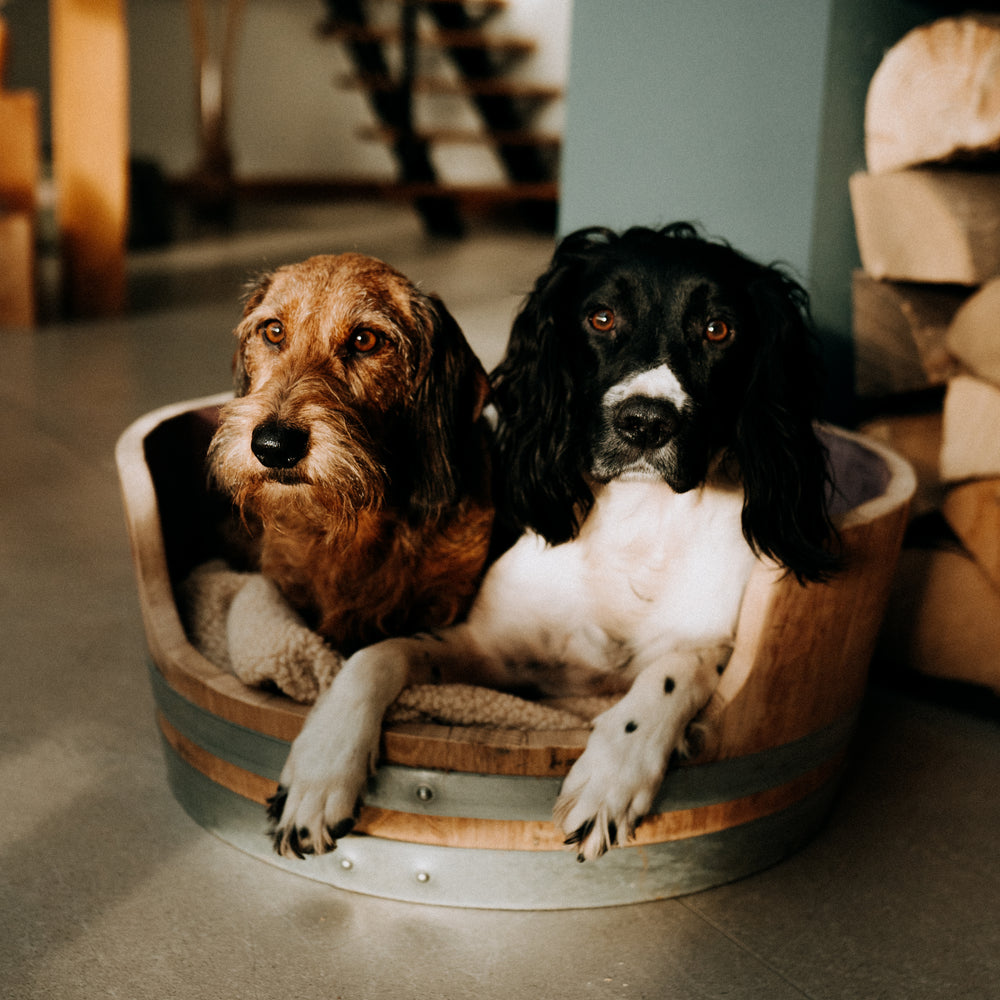 
                      
                        Wine Barrel Dog Bed - Oak Staves with Steel Bands
                      
                    