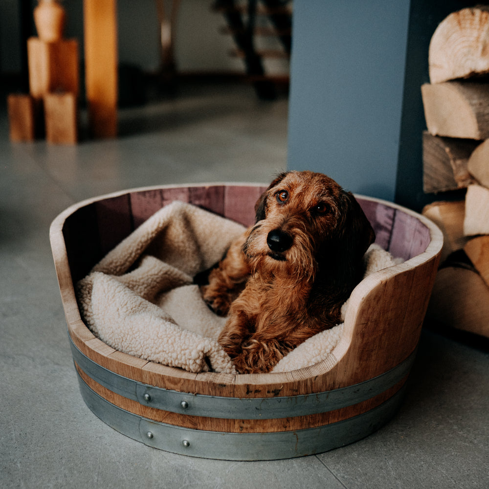 Wine Barrel Dog Bed - Oak Staves with Steel Bands