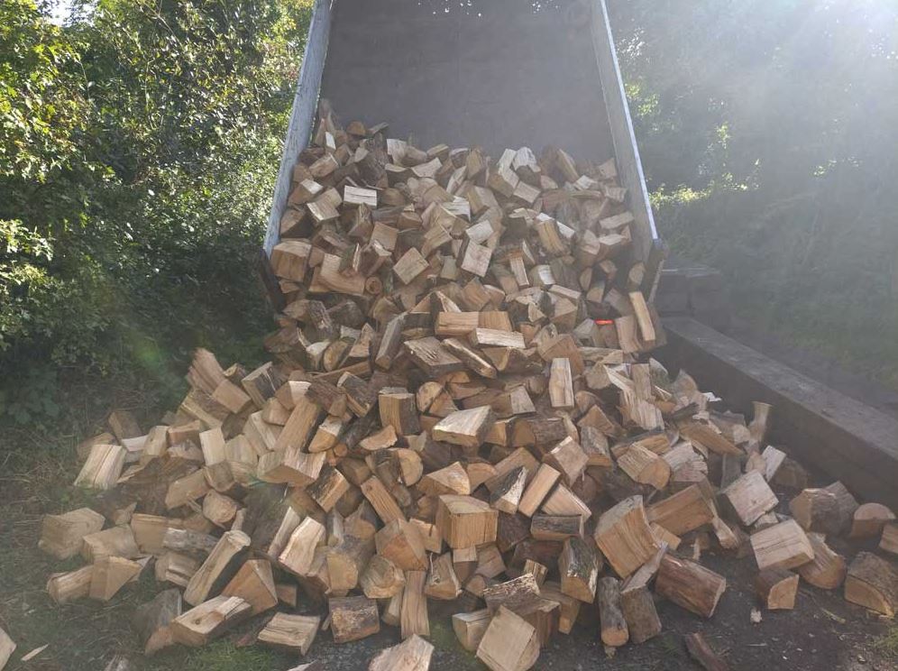 
                      
                        Softwood Kiln-Dried Seasoned Firewood Logs - Pembrokeshire/Local Deliveries
                      
                    